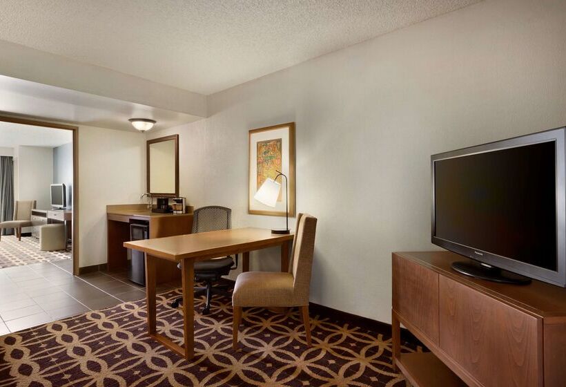هتل Embassy Suites By Hilton Dallas Dfw Airport South