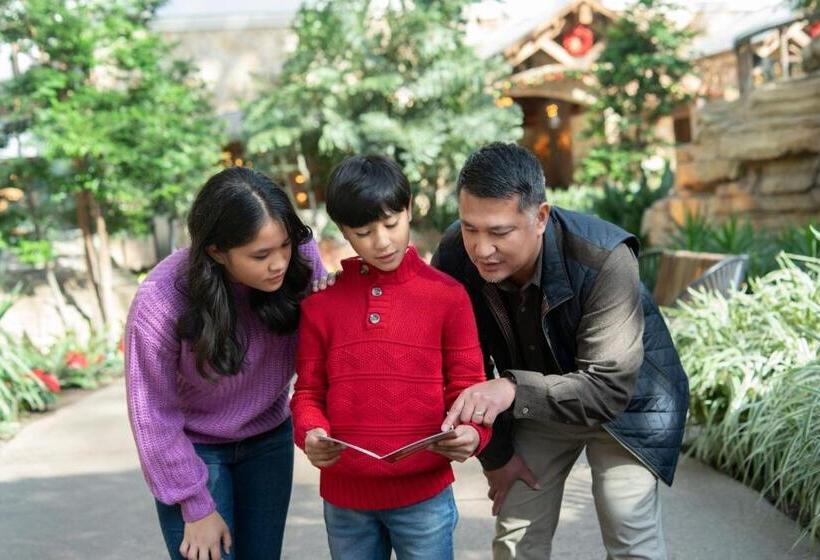 هتل Gaylord National Resort & Convention Center