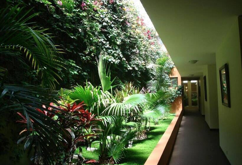 Fotos del hotel Meliana:  4
