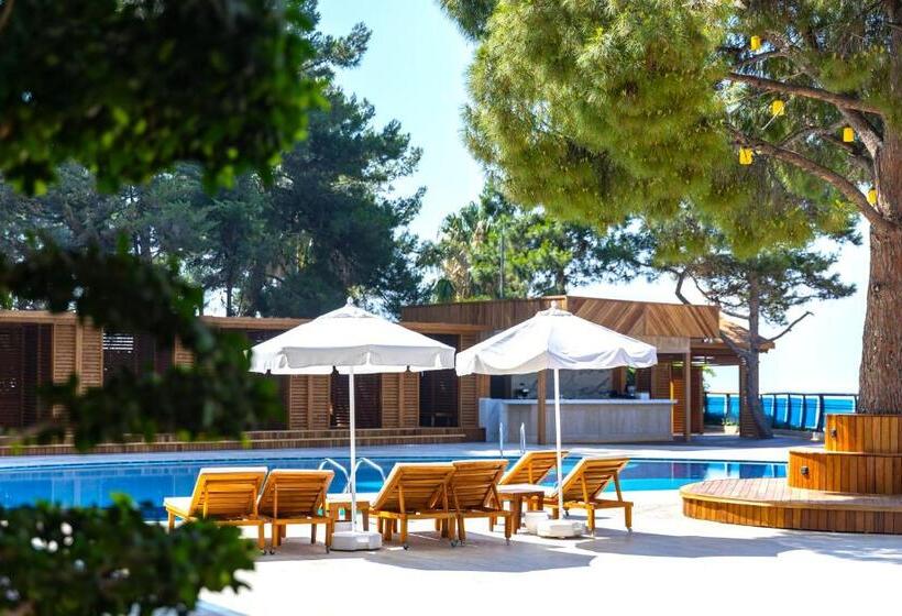 Fotos del hotel OZ Hotels Antalya Resort & Spa - Adults Only +16:  43