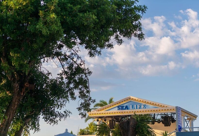 Sealife Kemer Resort Hotel   All Inclusive