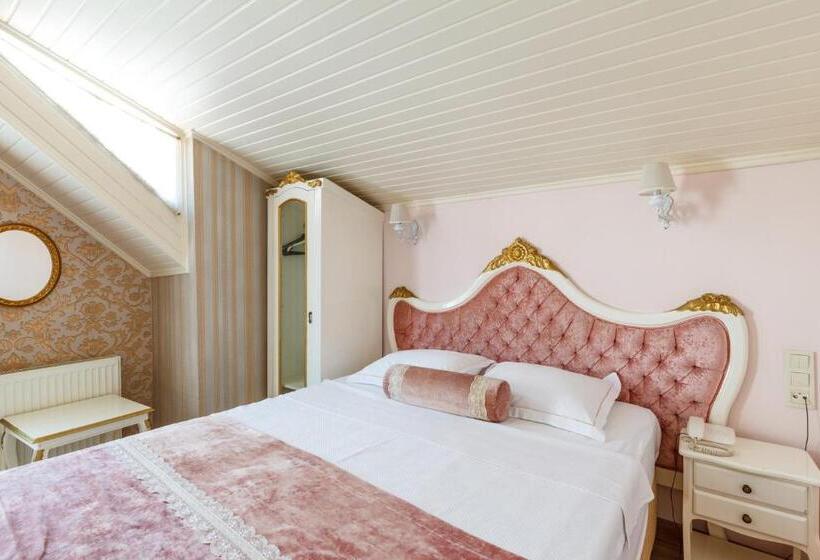 Fotos del hotel Romantic Hotel Istanbul:  36