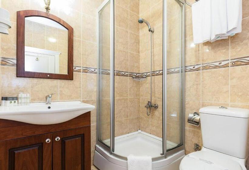 Fotos del hotel Romantic Hotel Istanbul:  24