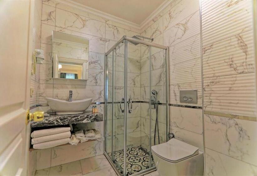 Fotos del hotel Romantic Hotel Istanbul:  29