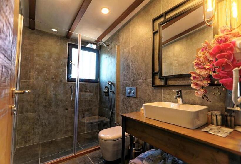 Fotos del hotel Romantic Hotel Istanbul:  26