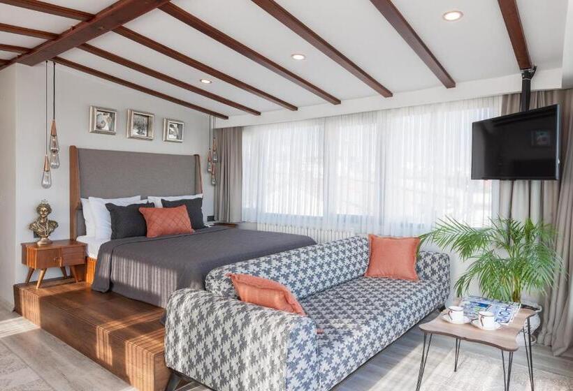 Fotos del hotel Romantic Hotel Istanbul:  43