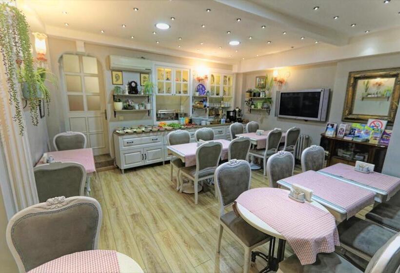 Fotos del hotel Romantic Hotel Istanbul:  46