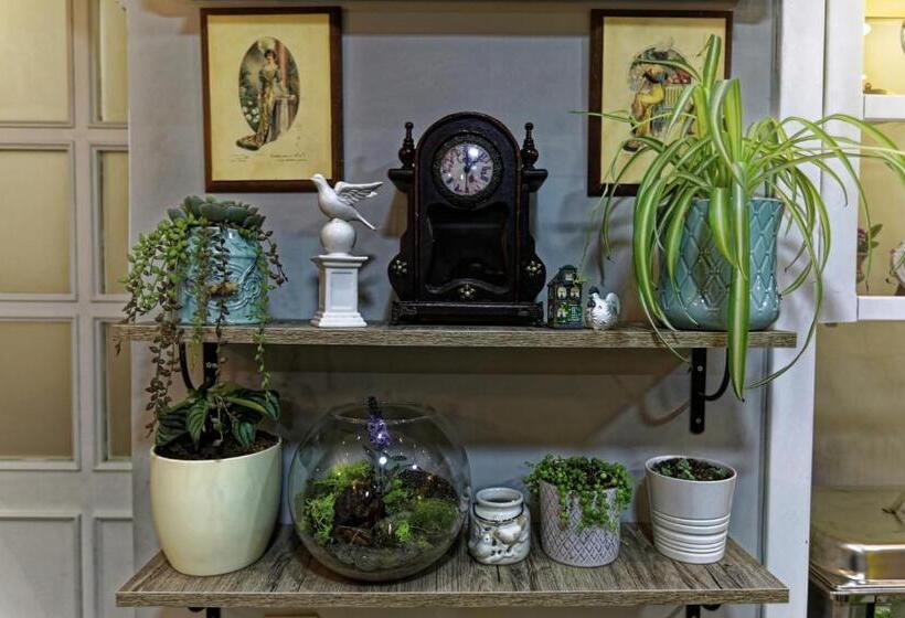 Fotos del hotel Romantic Hotel Istanbul:  50