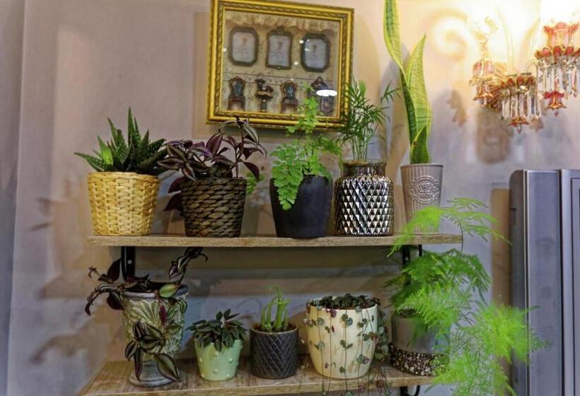 Fotos del hotel Romantic Hotel Istanbul:  31