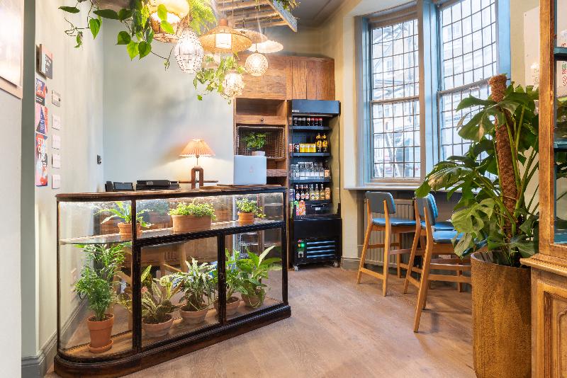 Fotos del hotel Selina Brighton:  3