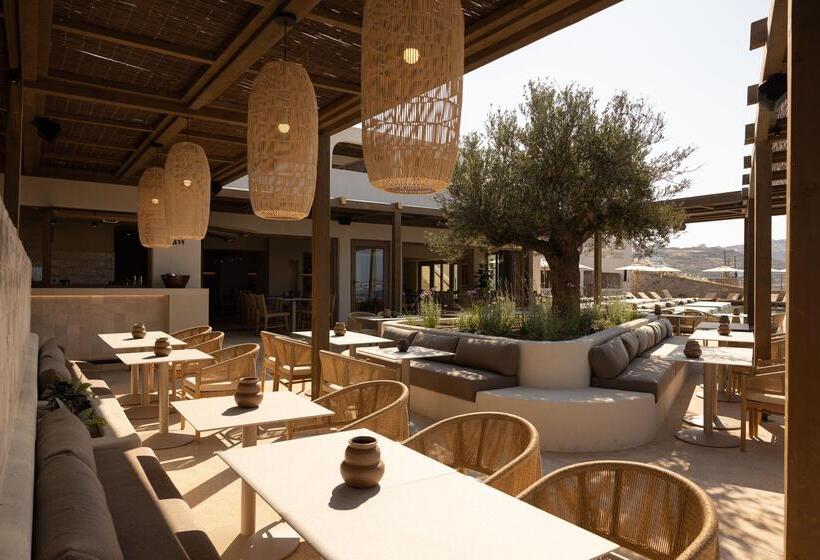 استراحتگاه Suntouch Suites