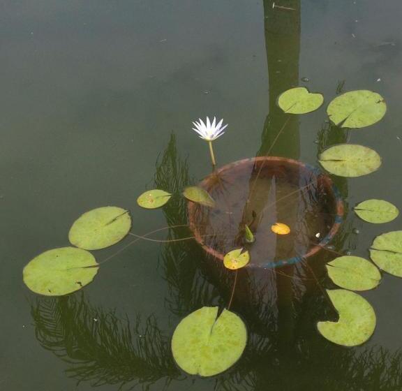 هاستل Casa Grande São Vicente