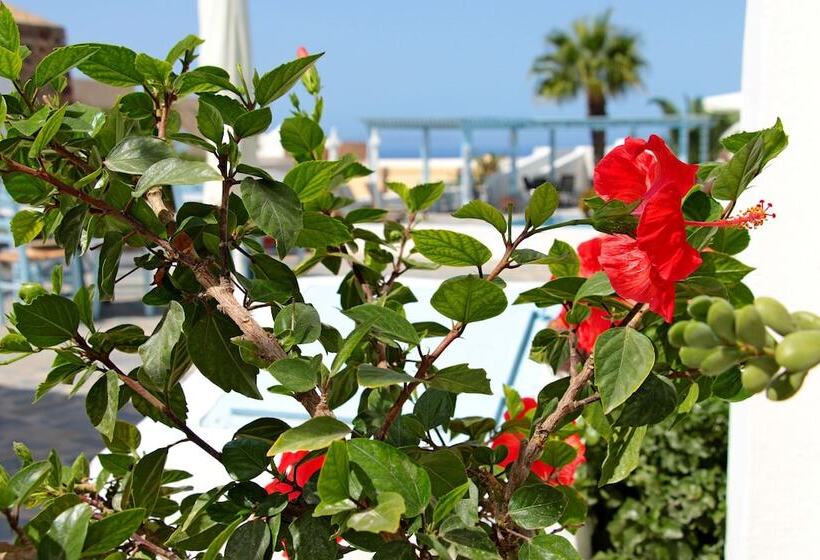 هتل Aethrio Sunset Village   Oia