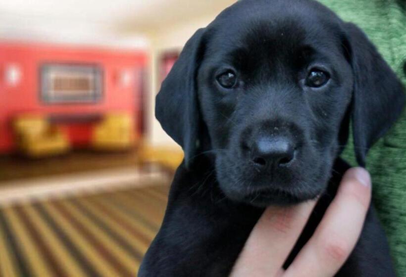 Fotos del hotel Extended Stay America  Orlando  Lake Mary  1036 Greenwood Blvd:  13