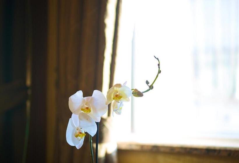 Fotos del hotel Grand Hilarium:  25