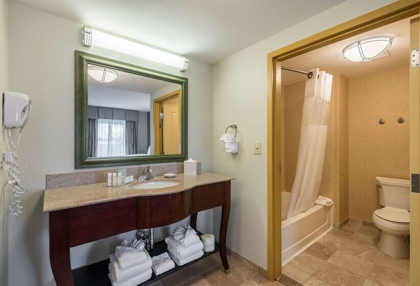هتل Hampton Inn & Suites Orlando South Lake Buena Vista