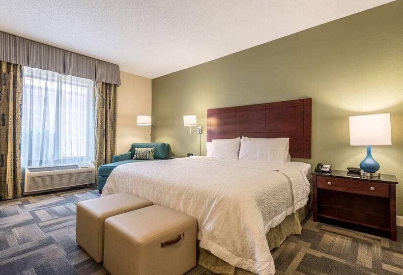 هتل Hampton Inn & Suites Orlando South Lake Buena Vista