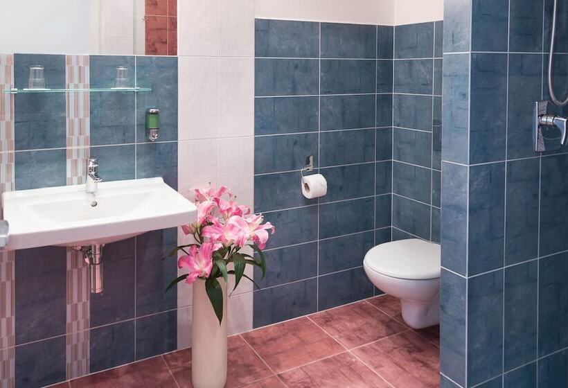 Fotos del hotel Karlin:  35