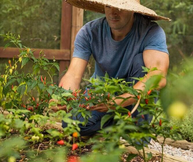 هتل Ponta Dos Ganchos Exclusive Resort