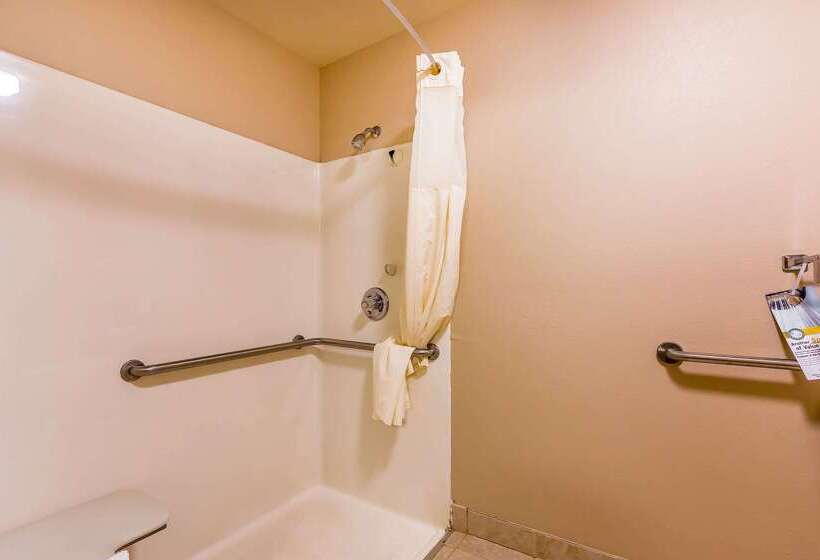 בית מלון כפרי Quality Inn & Suites Chesterfield Village
