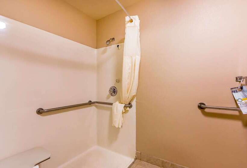 هتل Quality Inn & Suites Chesterfield Village