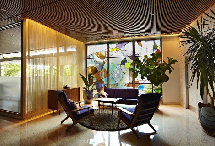 فندق The Standard Miami