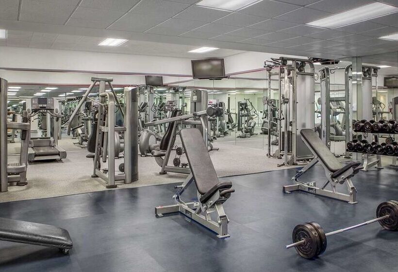 Fotos del hotel Doubletree By Hilton Hotel Miami Airport & Convention Center:  2