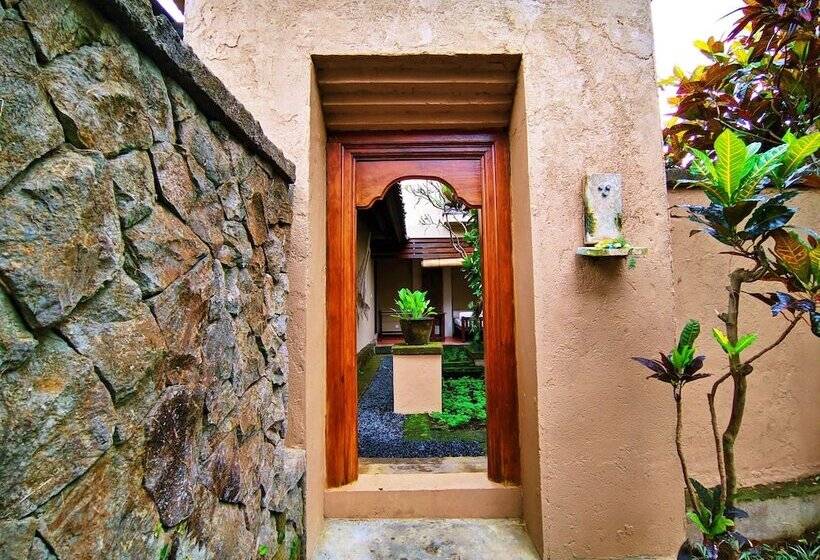 Fotos del hotel Barong Resort And Spa:  20