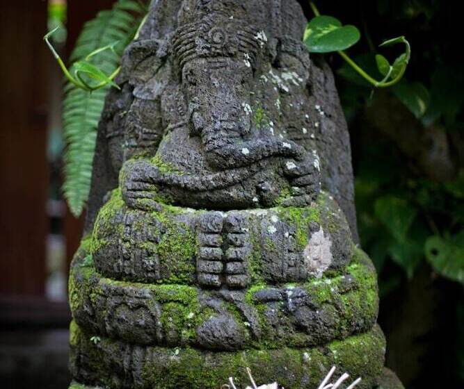 Fotos del hotel Barong Resort And Spa:  18