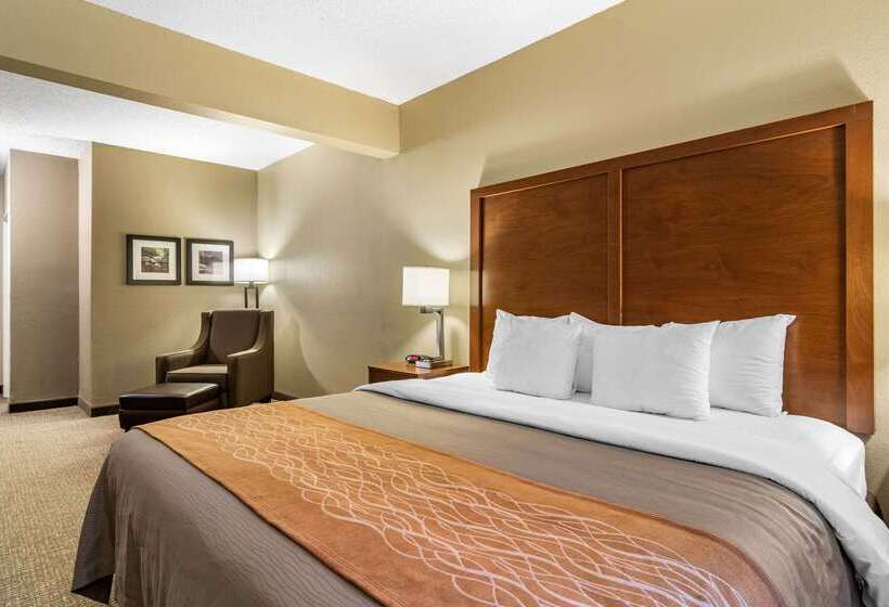 호텔 Comfort Inn & Suites Suwanee  Sugarloaf