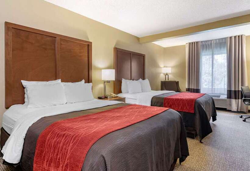 호텔 Comfort Inn & Suites Suwanee  Sugarloaf