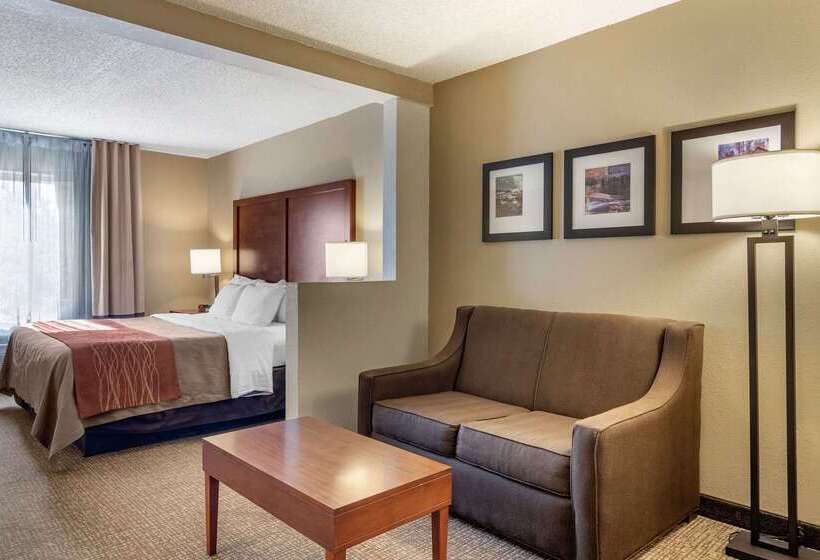 호텔 Comfort Inn & Suites Suwanee  Sugarloaf