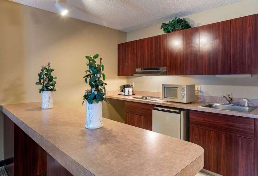 호텔 Comfort Inn & Suites Suwanee  Sugarloaf