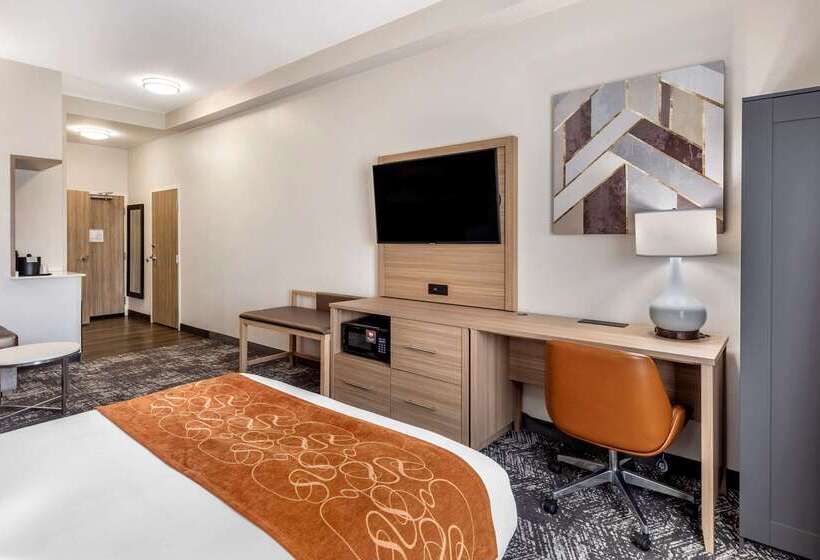 فندق Comfort Suites Anderson Clemson