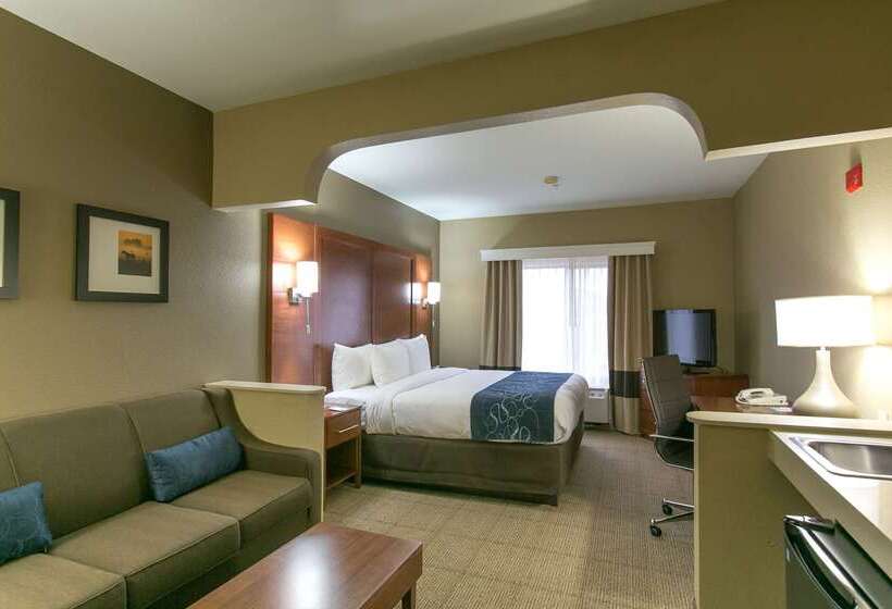 هتل Comfort Suites Austin Nw Lakeline