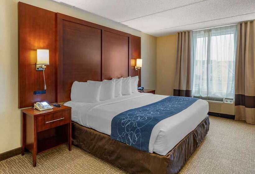 هتل Comfort Suites Manassas Battlefield Park
