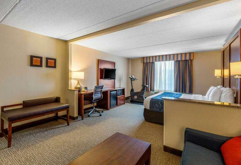 هتل Comfort Suites Manassas Battlefield Park