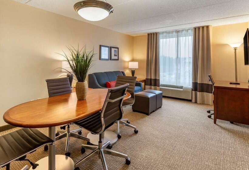 هتل Comfort Suites Manassas Battlefield Park Manassas