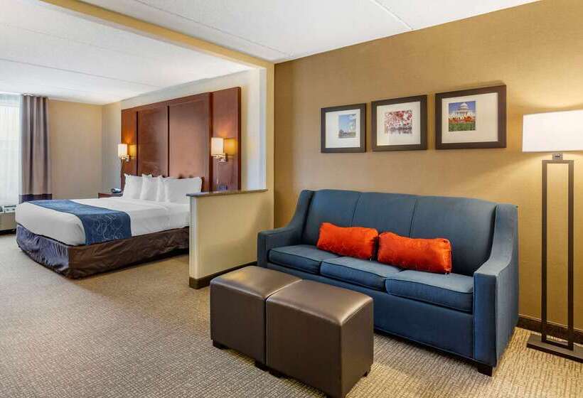 هتل Comfort Suites Manassas Battlefield Park