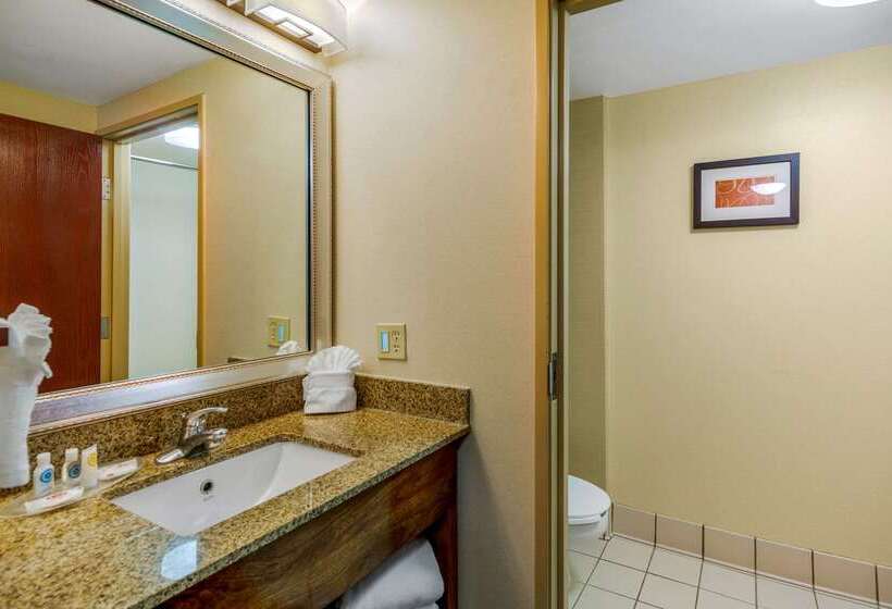 هتل Comfort Suites Manassas Battlefield Park Manassas