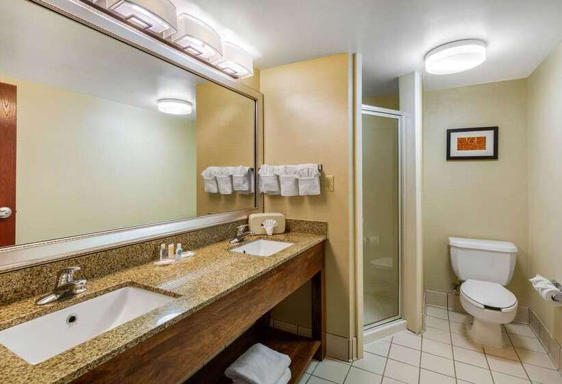 هتل Comfort Suites Manassas Battlefield Park