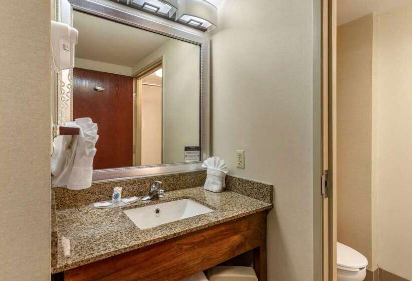 هتل Comfort Suites Manassas Battlefield Park
