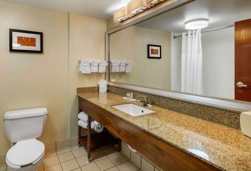 هتل Comfort Suites Manassas Battlefield Park