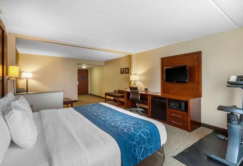 هتل Comfort Suites Manassas Battlefield Park