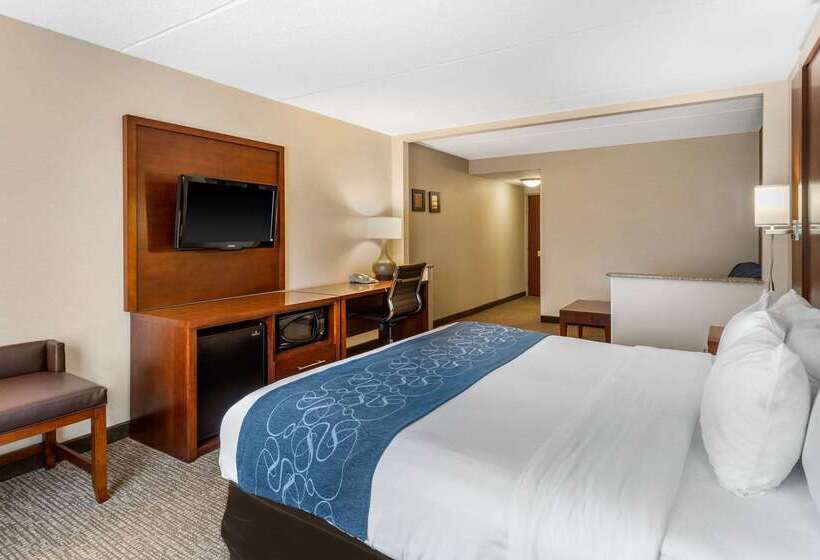 هتل Comfort Suites Manassas Battlefield Park