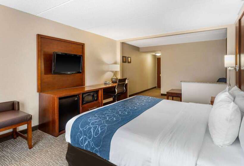 Hotel Comfort Suites Manassas Battlefield Park Manassas