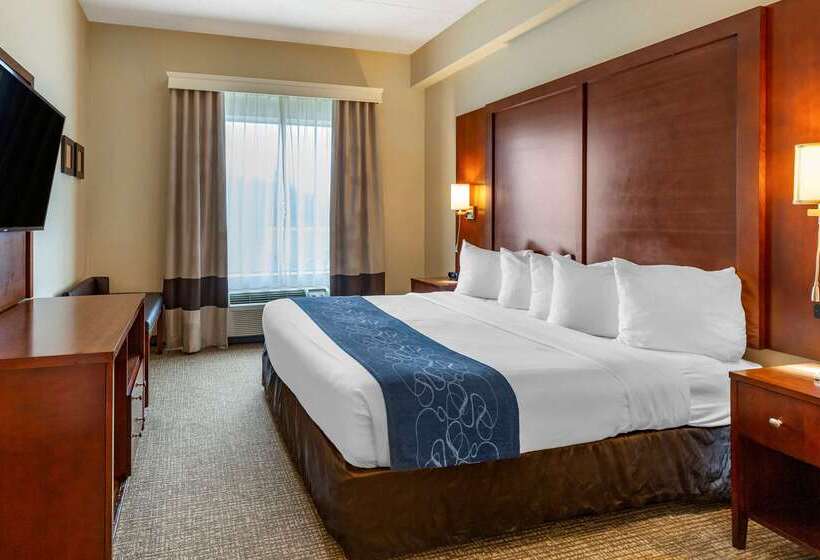هتل Comfort Suites Manassas Battlefield Park