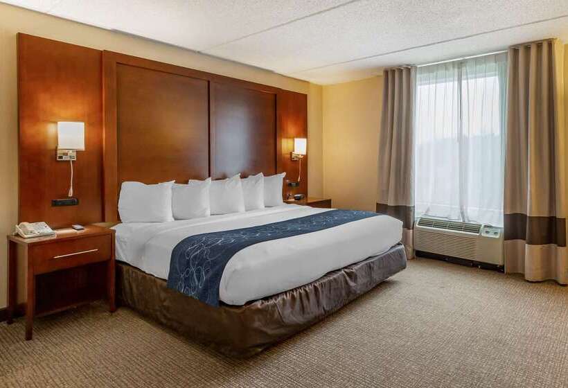 هتل Comfort Suites Manassas Battlefield Park