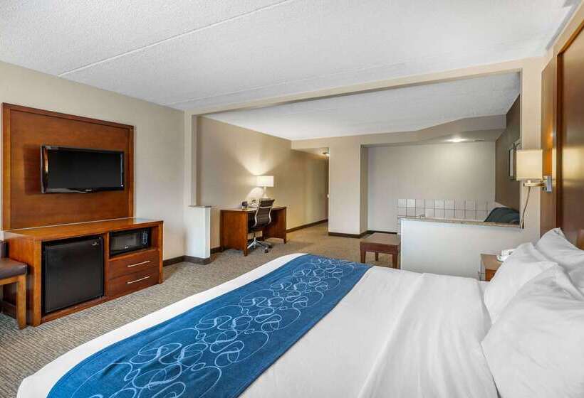 هتل Comfort Suites Manassas Battlefield Park Manassas