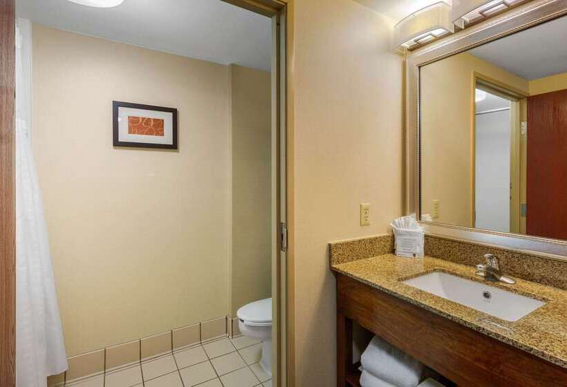 هتل Comfort Suites Manassas Battlefield Park